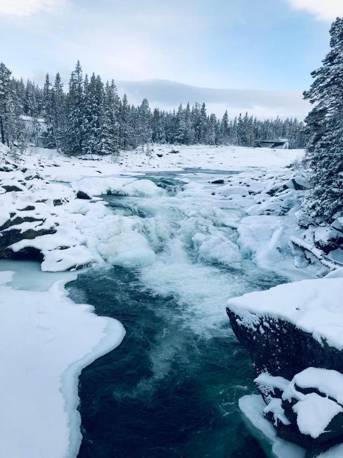 Valagardens Vaerdshus Och Camping Ab Vålådalen Kültér fotó