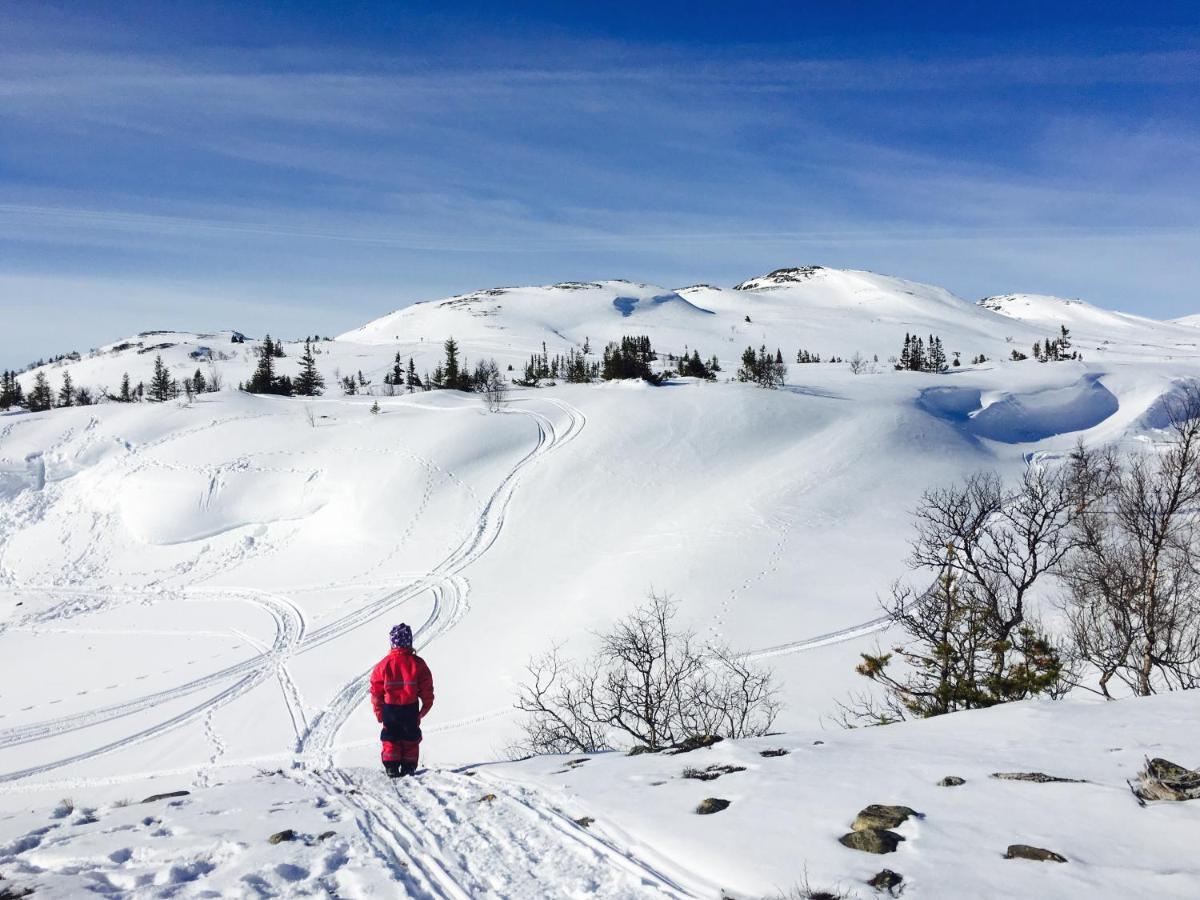 Valagardens Vaerdshus Och Camping Ab Vålådalen Kültér fotó